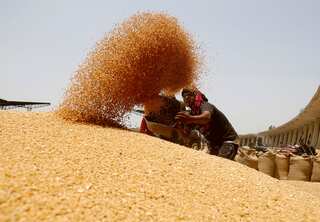 India unveils $141 billion plan to extend free food grains program