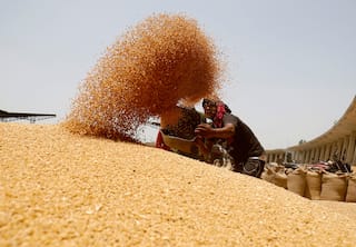 India unveils $141 billion plan to extend free food grains program
