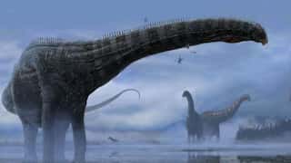 Do you know humans could live for 200 years? But dinosaurs didn't let this happen