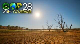 Droughts, megadroughts to occur much earlier in Europe every year from now on: Study