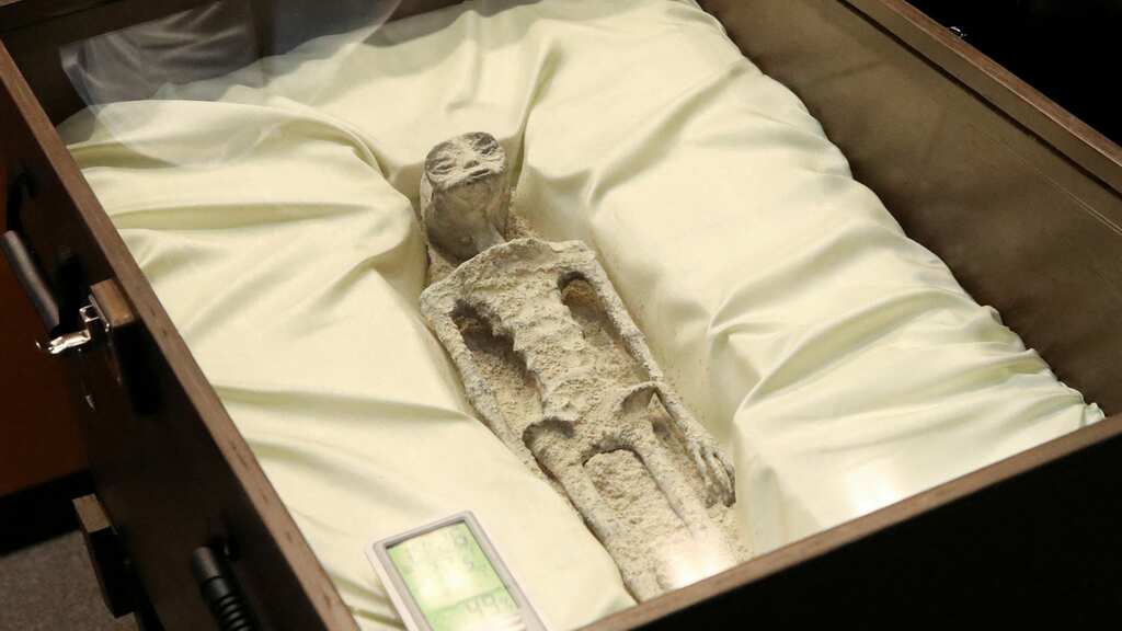 DNA of Mexico's 'alien' corpses matches not with humans but unknown species: Analyst