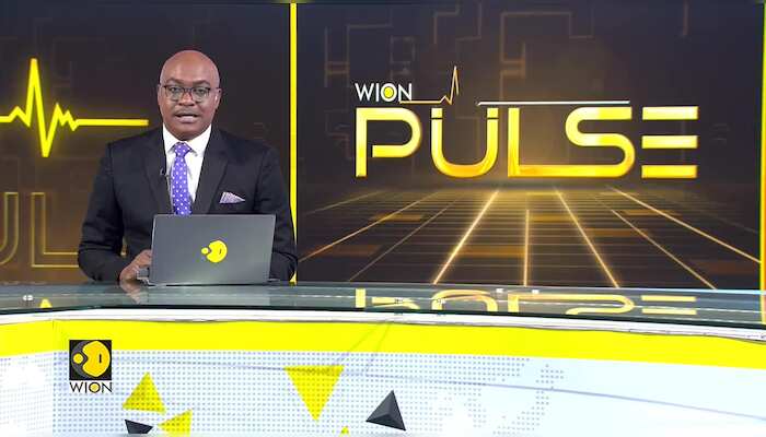 Assembly elections results: Backward castes, women swing the results towards BJP