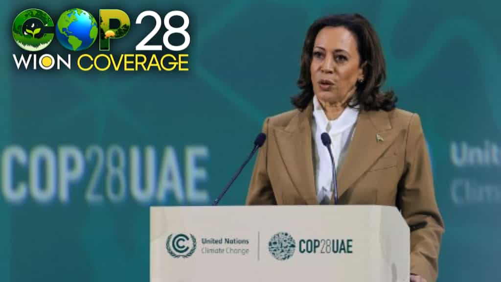 COP28 summit in Dubai makes breakthrough over renewable fuels. But there is a catch