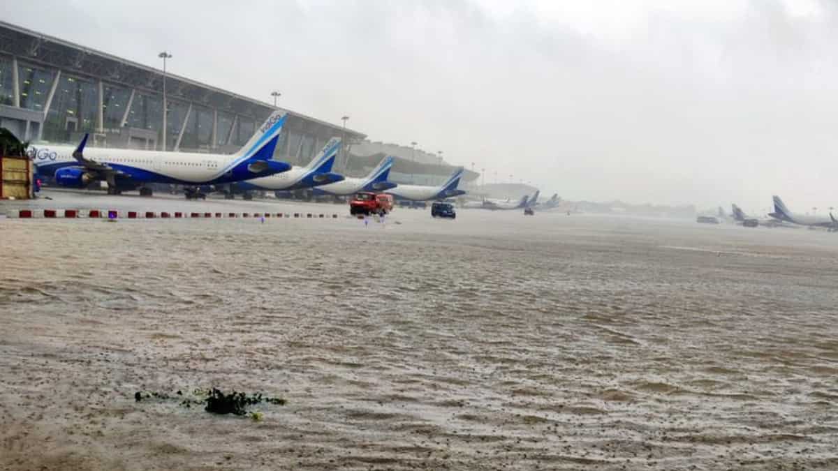 WATCH | Airport runway inundated, crocodile spotted on road as Cyclone Michaung causes mayhem in Chennai