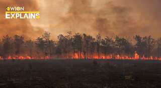 Explained | This is how climate change is causing health issues around the world