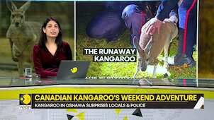 Gravitas: Kangaroo's Great Escape and a Boxing Bout with Canadian Police