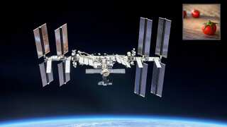 A tomato lost for 8 months on space station has finally been found, and it is a big deal