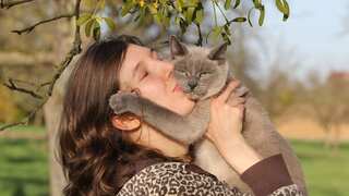 Owning cats might up your risk of developing schizophrenia, study suggests