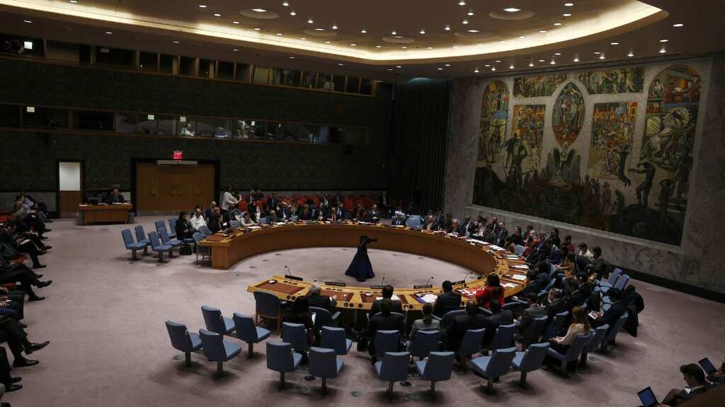 US vetoes UNSC resolution demanding immediate humanitarian ceasefire in Gaza, says it would ‘benefit’ Hamas