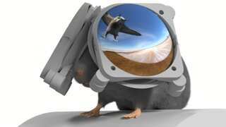Researchers develop VR goggles for mice to create immersive scenarios for brain research