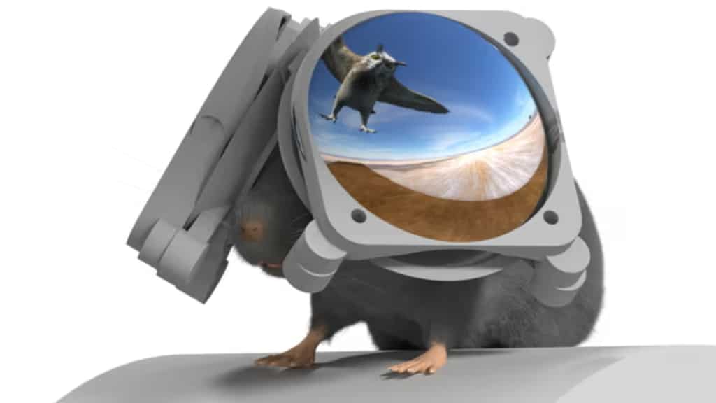 Researchers develop VR goggles for mice to create immersive scenarios for brain research