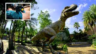 In 'Jurassic Park' style, extinct flightless bird dodo to be revived. Scientists say...
