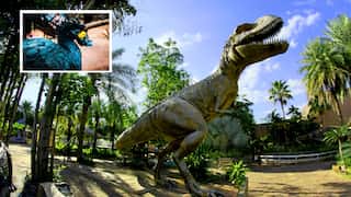 In 'Jurassic Park' style, extinct flightless bird dodo to be revived. Scientists say...