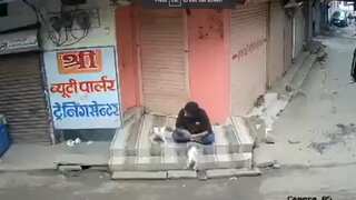 Video | Man in India's MP crushes innocent puppy to death in shocking on-camera act, booked