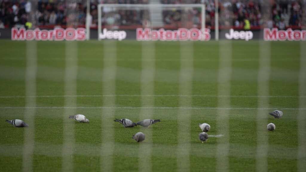 La Liga: Granada-Athletic Bilbao match abandoned after fan dies in stands