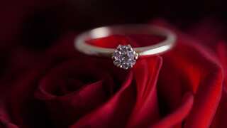 Lost from a table, Paris hotel finds customer's missing diamond ring worth $800k in vacuum cleaner bag