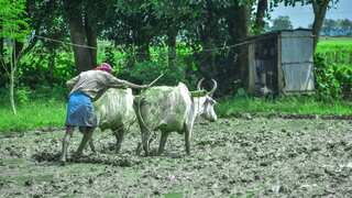 Indian farmer mockingly seeks police escort for $0.64 'significant' crop loss compensation from govt