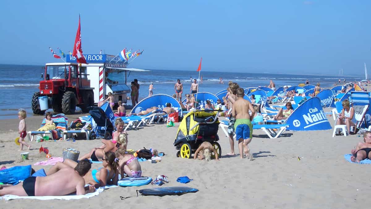 Dutch government asks children to stop swallowing sea foam amid PFAS concerns