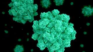 UK sees surge in Norovirus cases with over 1,500 infected