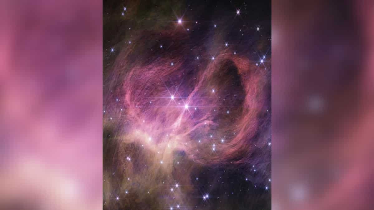 James Webb spots record-breaking small, rare kind of brown 'failed' star