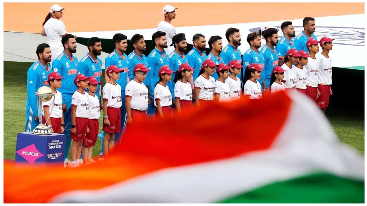 Near-perfect ODI WC campaign at home