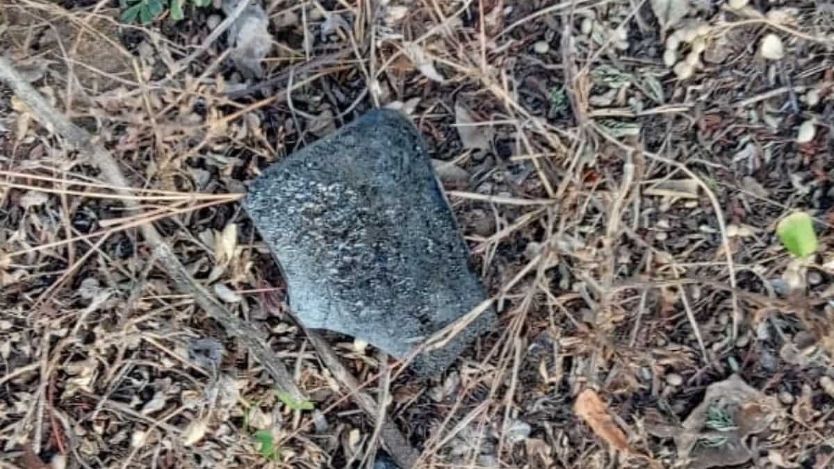 Indian Parliament security breach: Cops recover burnt phone parts of accused in Rajasthan