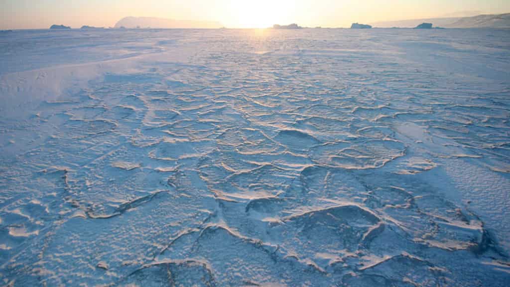 Study suggests first people reached North America via ‘sea ice highway’ around 24,000 years ago