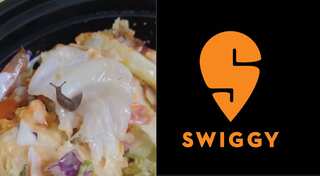 Watch: Cringe alert! Snail seen moving in salad ordered from Swiggy