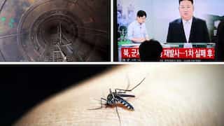 Top 10 world news: Israel finds 'biggest' Hamas tunnel, North Korea fires projectile towards South Korea