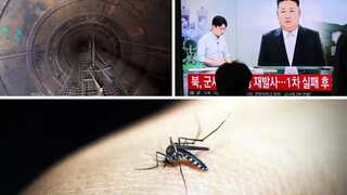 Top 10 world news: Israel finds 'biggest' Hamas tunnel, North Korea fires projectile towards South Korea