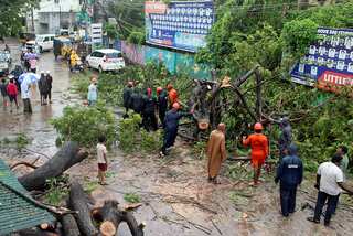 India: Rain, floods batter cyclone-hit Tamil Nadu; schools, colleges shut down in some parts