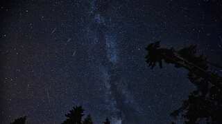 Ursid Meteor Shower: When and where to watch the last meteor shower of 2023