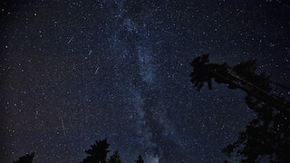 Ursid Meteor Shower: When and where to watch the last meteor shower of 2023