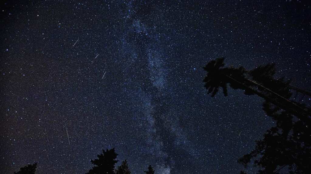 Ursid Meteor Shower: When and where to watch the last meteor shower of 2023