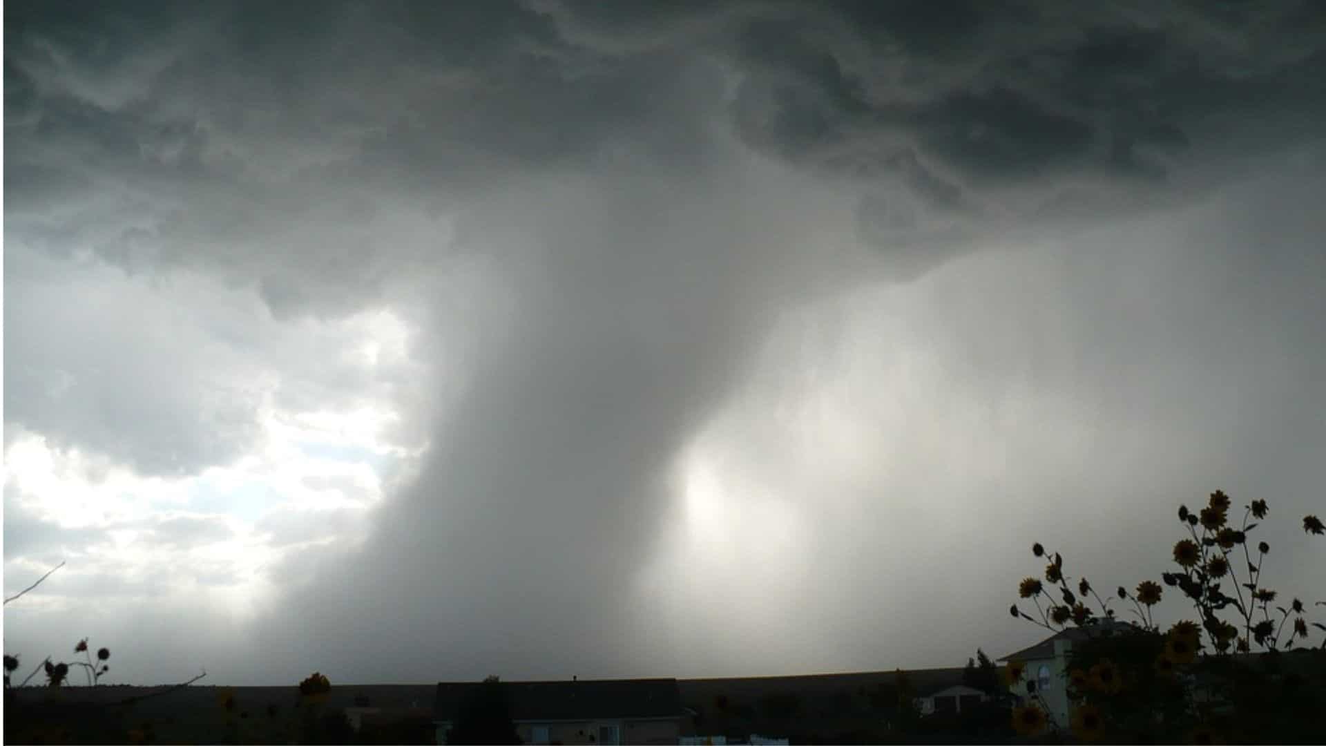 Miracle in storm: Four-month-old US baby found alive in tree after tornado lifts bassinet