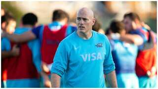 Felipe Contepomi succeeds Michael Cheika to take over as Argentina rugby coach