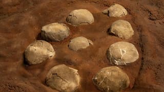 India: Madhya Pradesh family's sacred totem 'kuldevta' turns out to be dinosaur egg