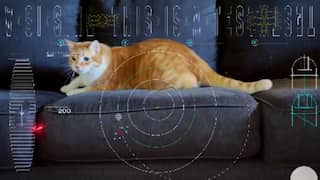 Watch: NASA sends high-definition cat video from spaceship to Earth via laser, covering 31mn km