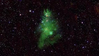 Cosmic Christmas tree stuns ahead of holidays in new image shared by NASA