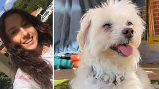 Australian woman sentenced for throwing her dog off the top of multi-storey car park