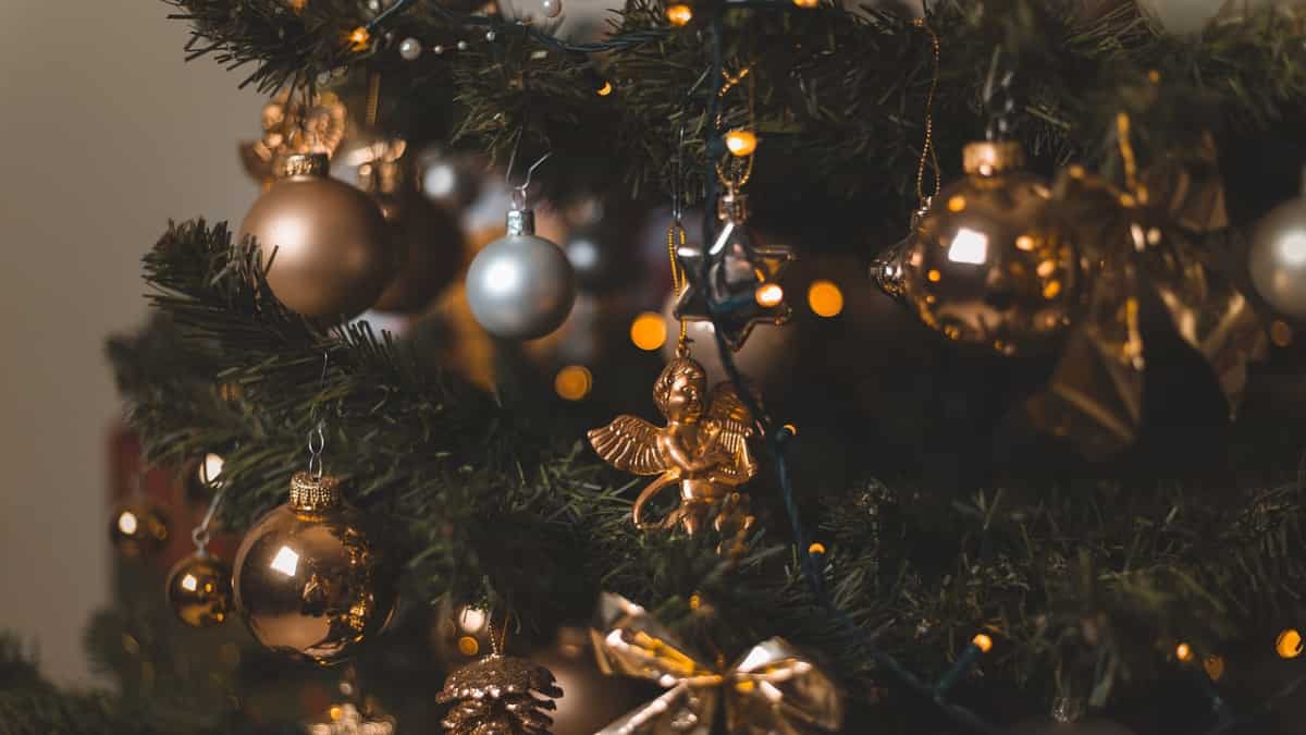 During Christmas season, the risk of penile fractures goes up: Study During Christmas season, the risk of penile fractures goes up: Study