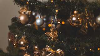 During Christmas season, the risk of penile fractures goes up: Study