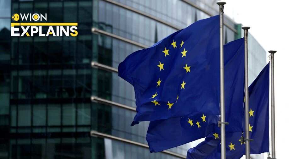 Explained | The 'historic' new pact on migrants that EU countries finalised
