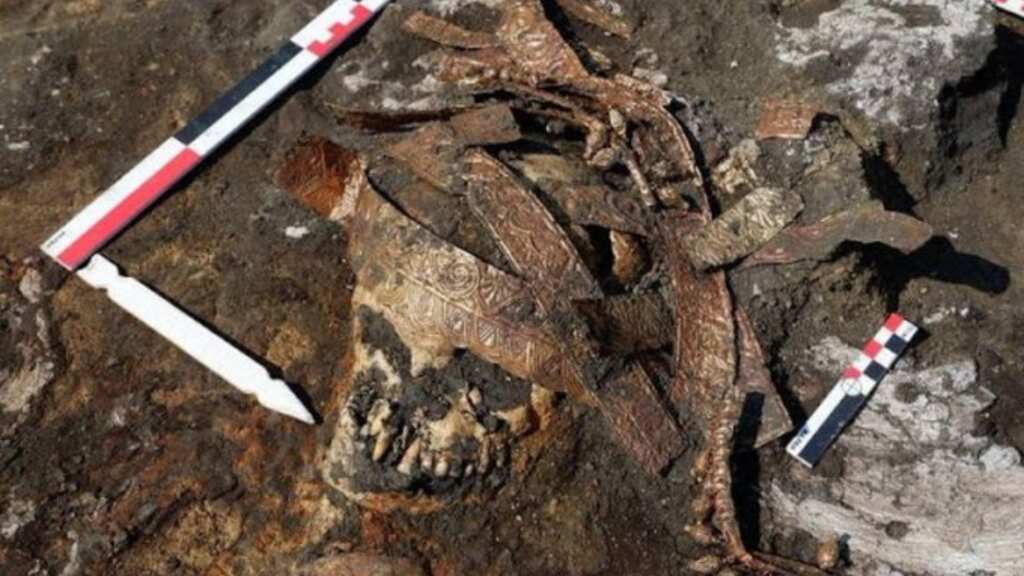 Ferocious Scythians used human skin to make leather: Researchers