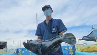 Mainland China resumes fish imports from Taiwan weeks before polls