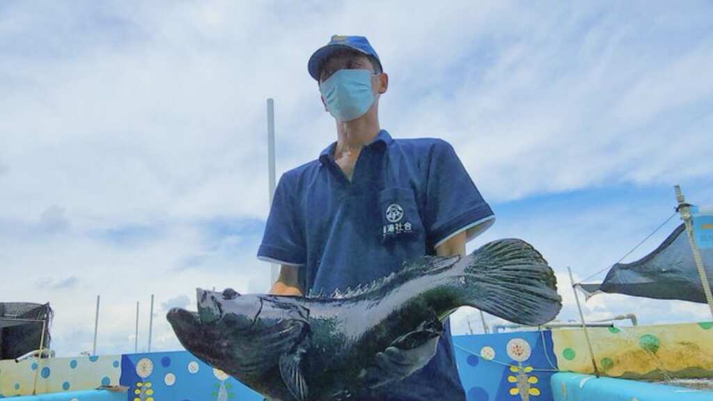 Mainland China resumes fish imports from Taiwan weeks before polls