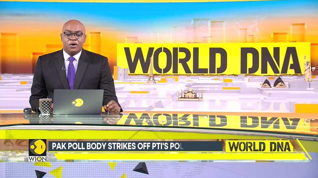 Pakistan: Election Commission against letting PTI retain its Bat poll symbol