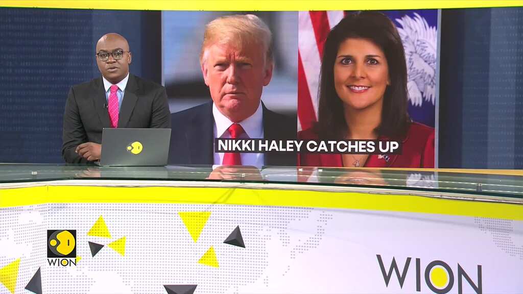 US Presidential Elections 2024: Nikki Haley closes in, 4% behind Donald Trump