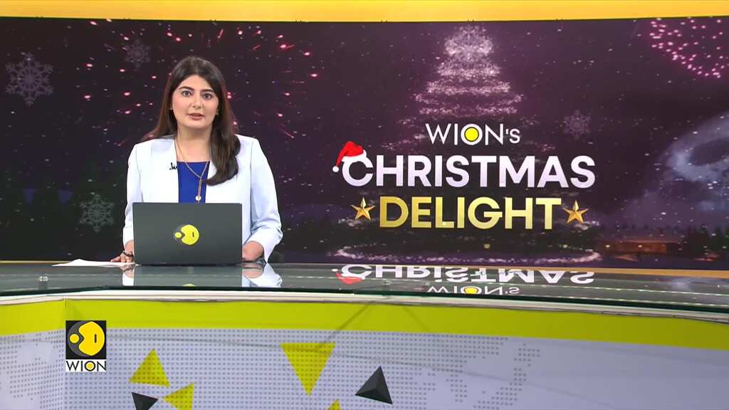 Christmas: France zoo gives gifts to animals; Panda hides gift under tree, Orangutans savour lettuce