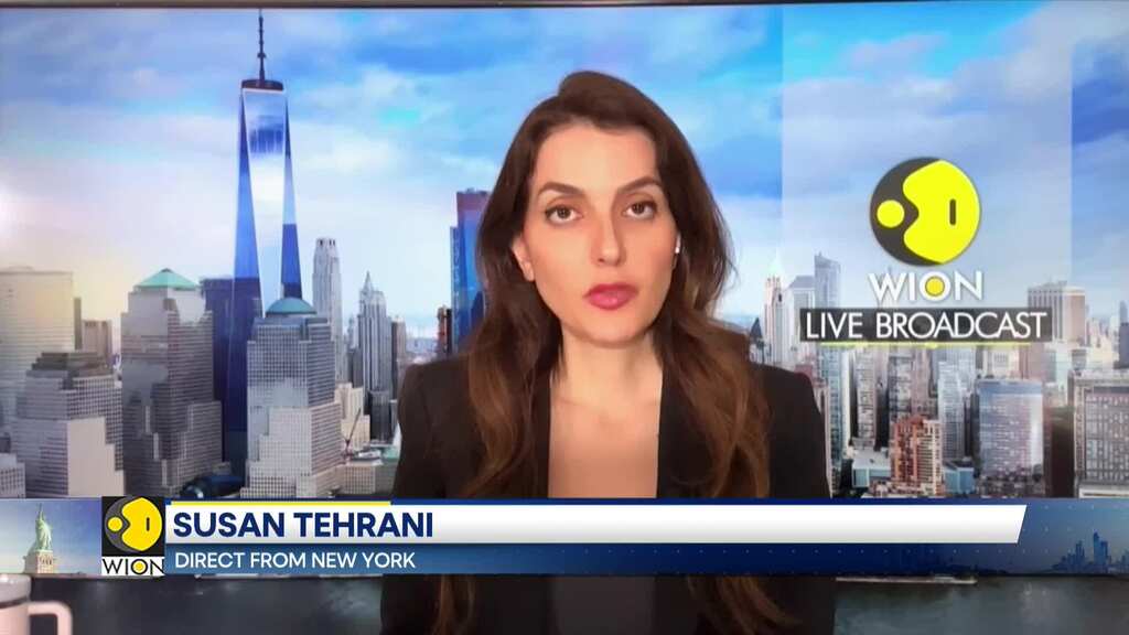 New York: Pro-Palestinian protesters clash with NYPD